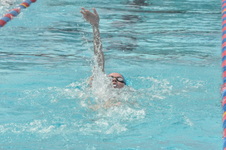 Enlarge photo 686
