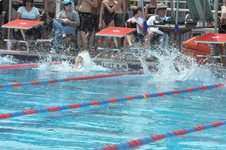 Enlarge photo 692