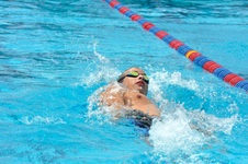 Enlarge photo 697