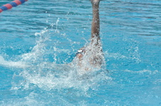 Enlarge photo 698