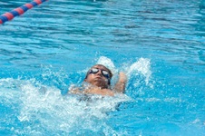 Enlarge photo 699