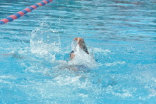Enlarge photo 703