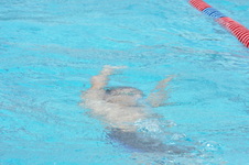 Enlarge photo 704