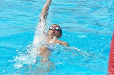 Enlarge photo 715