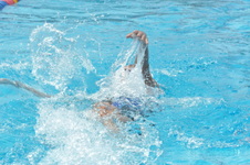 Enlarge photo 717
