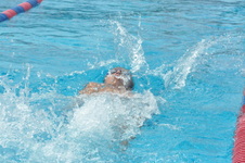 Enlarge photo 719