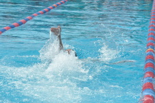 Enlarge photo 722