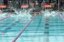 Enlarge photo 728