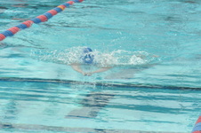 Enlarge photo 734