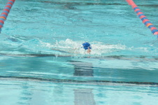 Enlarge photo 735