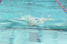 Enlarge photo 739
