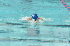 Enlarge photo 742
