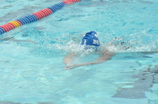 Enlarge photo 770