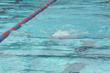 Enlarge photo 781