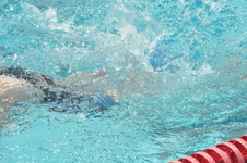Enlarge photo 788