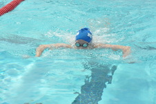 Enlarge photo 798