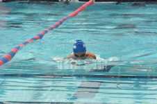 Enlarge photo 817