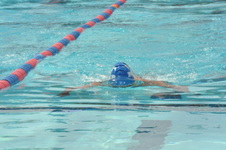 Enlarge photo 822