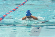 Enlarge photo 823