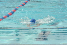 Enlarge photo 825