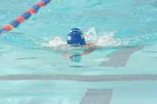 Enlarge photo 829