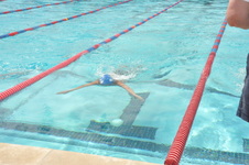Enlarge photo 831