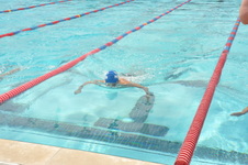 Enlarge photo 832