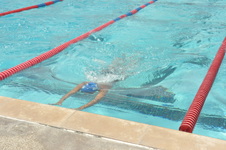 Enlarge photo 835