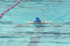 Enlarge photo 847