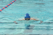 Enlarge photo 851