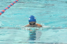 Enlarge photo 853