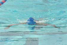 Enlarge photo 855