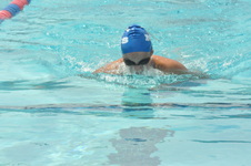 Enlarge photo 856