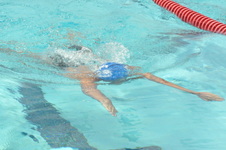 Enlarge photo 857