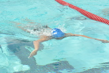Enlarge photo 858