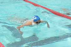 Enlarge photo 859