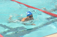 Enlarge photo 861