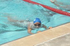 Enlarge photo 862