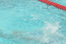 Enlarge photo 867