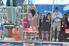 Enlarge photo 873