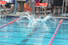 Enlarge photo 879