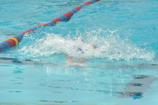 Enlarge photo 887
