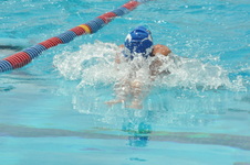 Enlarge photo 889