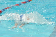 Enlarge photo 890