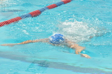 Enlarge photo 891