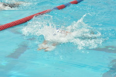 Enlarge photo 894