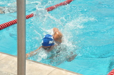 Enlarge photo 899