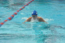 Enlarge photo 906