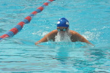 Enlarge photo 909