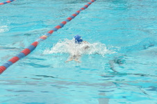 Enlarge photo 915